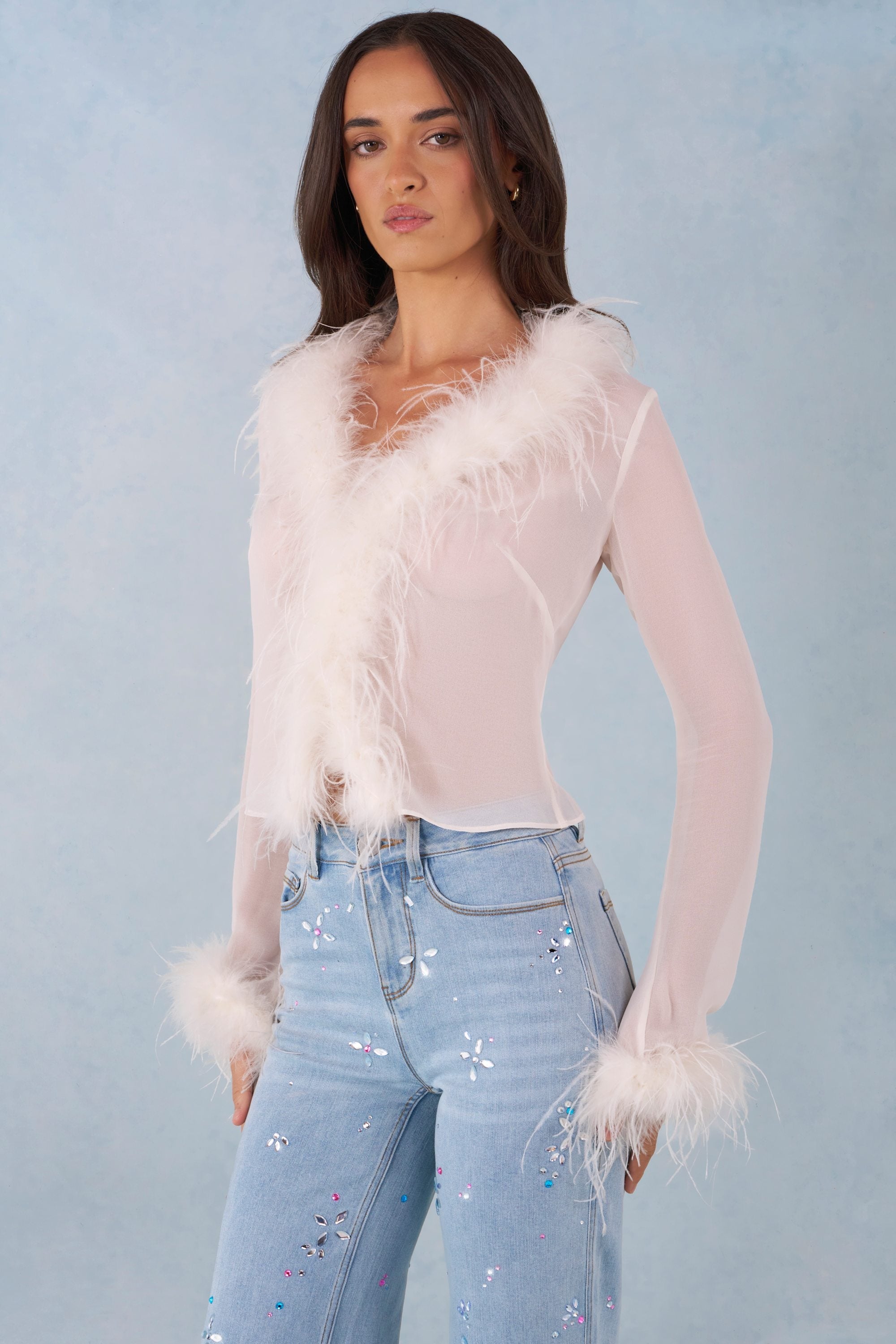 Feather Trim Sheer Top in Ivory