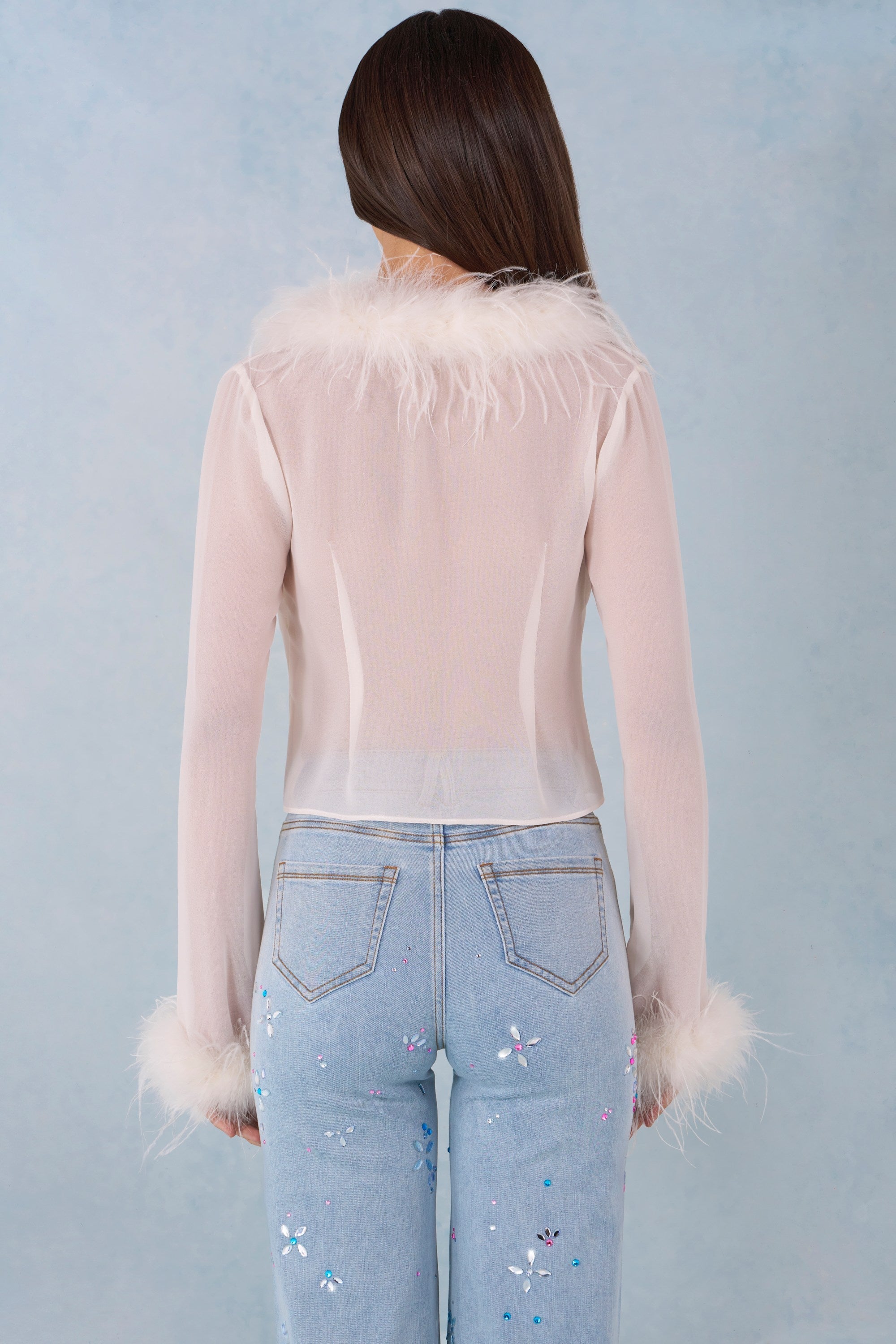 Feather Trim Sheer Top in Ivory