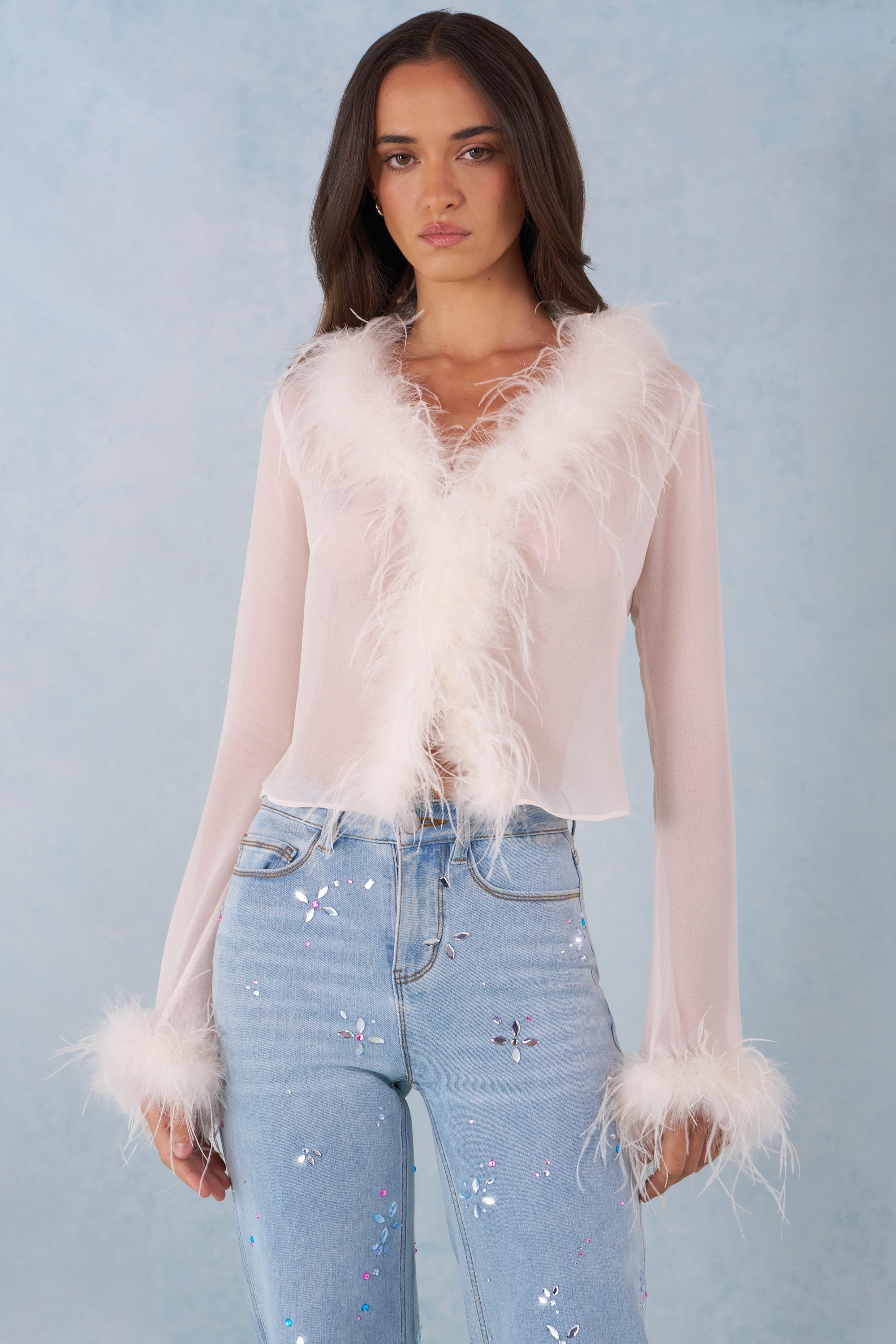 Feather Trim Sheer Top in Ivory