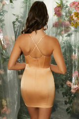 Pleated Bust Corset Mini Dress In Beige