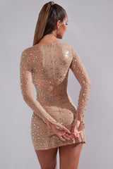 Sheer Embellished Long Sleeve A-Line Mini Dress in Honey